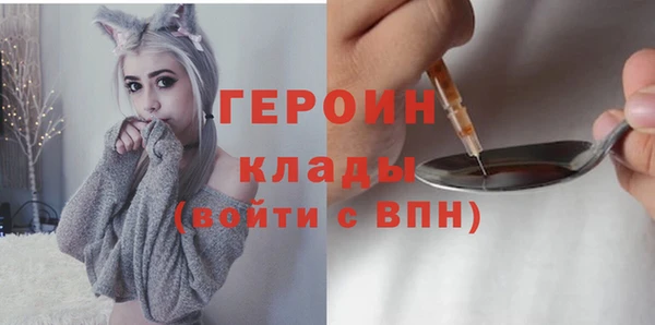 молекула духа Новозыбков