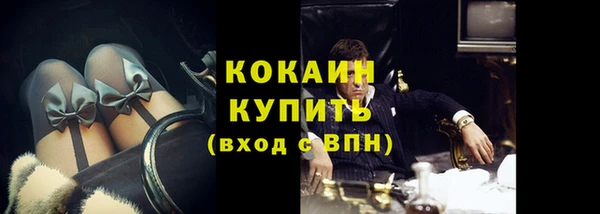 PSILOCYBIN Бикин