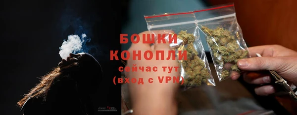 молекула духа Новозыбков
