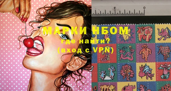 молекула духа Новозыбков