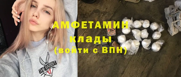 PSILOCYBIN Бикин