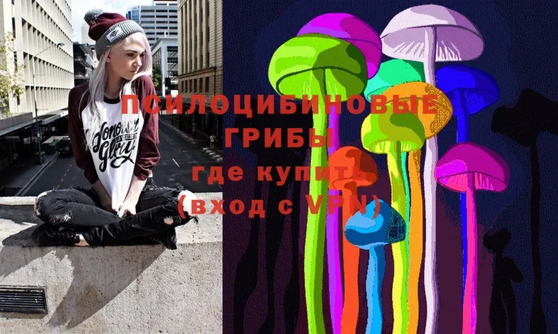 OMG ССЫЛКА  Волжск  Псилоцибиновые грибы Psilocybe 