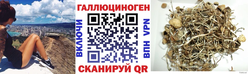 Галлюциногенные грибы Magic Shrooms  Волжск 