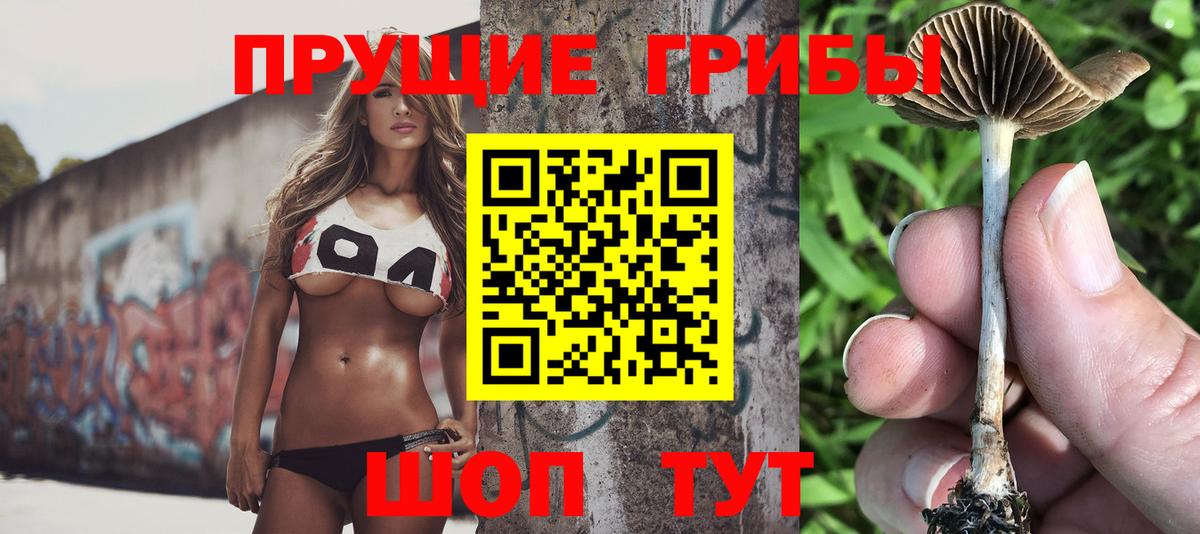 Псилоцибиновые грибы MAGIC MUSHROOMS  Волжск 